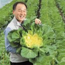 총성 없는 종자전쟁시대’,토종자원을 보존하라,세계는 종자 전쟁 중