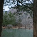 영주안동 여행일기 2.안동편(김성구의성마늘치킨/맘모스베이커리/안동찜닭거리/낙강물길공원/고산정...