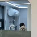 밍그루밍 이미지