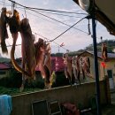 정치망민박 이미지