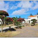 메이플하우스 펜션 | 서귀포 메이플 하우스 독채 펜션 제주 펜션·제주 독채펜션 추천