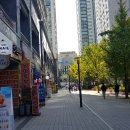 띠아모마포펜트라우스점 네이버블로그