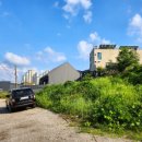 주식회사 동행부동산중개법인 이미지