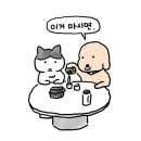 신기방기 이미지