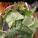 대성갈비 이미지