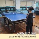 초등탁구 2 | 강동구놀거리 신진영 탁구교실 초등 아이와 다녀온 후기