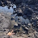 해비치호텔앤리조트 이미지