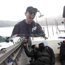 도시어부 이미지