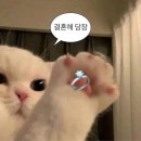 글로리아 | W1) 글로리아 웨딩홀 계약 후기(◍•ᴗ•◍)❤