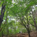 시립미술관(팔각정) | 【청주 작두산+양성산】 대청호와 미술관을 품고 있었지만 평범했다~