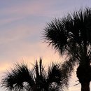 1424 | [DAY 1424 in US] 33 Applications, 8 Interviews, &amp; 1 Offer