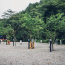 자연에 머물다 이미지