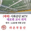 금대지부동산중개사무소 | ※(매매) 시화공단 MTV 대로변 코너 위치 대지 : 2400평 대형 공장