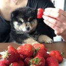 행복한의원 이미지