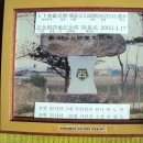 비룡상사