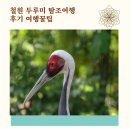 철원 두루미 탐조 평화여행 후기 및 꿀팁