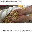 국산콩 밀어낸 슈퍼푸드…효과도 슈퍼? 이미지