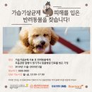 애경동물병원 네이버블로그