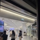 바디존칼라매치 | [자라 용산아이파크몰점] ZARA 여름 세일 품절 대란템 실물 영접 & 피팅 후기