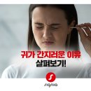 시그니아 보청기 이미지