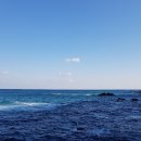 동해바다 이미지