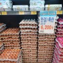 우리홈마트 티스토리