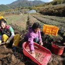 덕유갈비 이미지