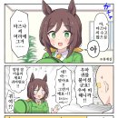 우마