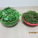 내리실경로당 티스토리