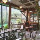 웰리스팜 이미지