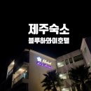 하와이 노래연습장 | 제주 / 한림 가성비 갑 of 갑, 조식까지 나오는 저렴한 숙소 블루하와이 호텔 트윈 마운틴 뷰