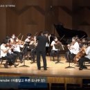 요한 스트라우스 챔버 오케스트라 이미지