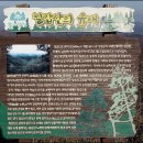 3월1일(일) 충남의 알프스 청양 칠갑산 산행 100대명산 17,700원 이미지