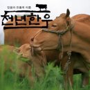 고급육생산목장 이미지