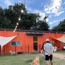 멍스 컨테이너 이미지