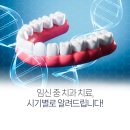 올바른치과교정과치과의원 | 임산부도 대구 동성로 치과 교정이 가능할까요? 임신 전부터 출산 후까지 시기별 주의 사항 알아봐요!