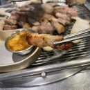 고기를품다 티스토리
