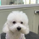 큐티살롱 이미지