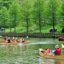 담양 반딧불 이미지