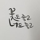 꽃도좋고너도좋고