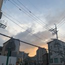 노브13(NOV 13) 이미지