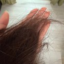 분당-62 | 야탑 클리닉 후기｜염색모 푸석한 머릿결, 분당 미용실에서 제대로 관리한 날