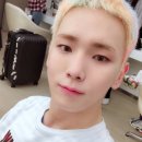 더쇼 이미지