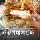 죽도시장 노점 32 | 포항 대게 맛집 죽도시장 먹거리 가격 내돈내산 해양회대게센타