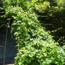 노바골프 이미지