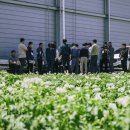 농업회사법인(주)큰뫼농산 | 2025년 농수산물 온라인 도매시장 산지 팸투어 1회차 (경북)후기
