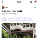 이런5부바지 유행 끝났나? 이미지