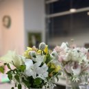 용두방천2길 | 대구 부케 말리기 선물 추천 * 졸리쥬드