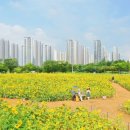 코스모스경로당 이미지