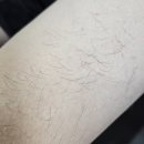 #다이소 제모크림 후기 프리모 팩토리 오리지널 제형·사용감·향 총정리
